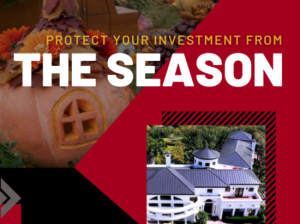 Read more about the article Protect Your Investment From The Season!
