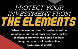 Read more about the article Protect Your Investment From The Elements!